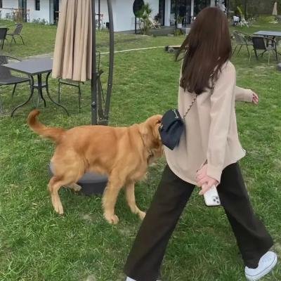 唐老鸭的自我改善